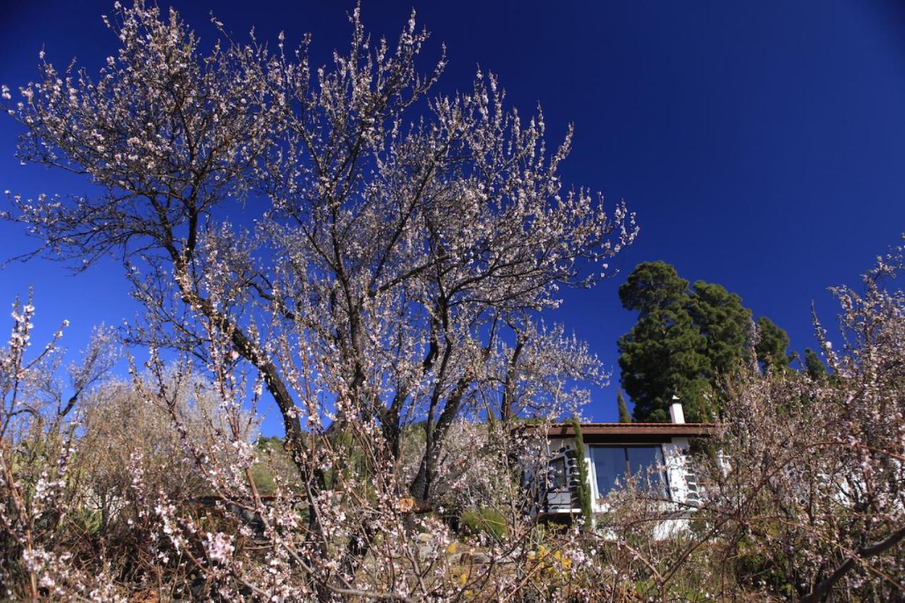 Panorama Suite El Mirador Puntagorda Eksteriør bilde